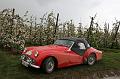 MG Bloesemrit op 24-4-2016 org. Jos&Marie-lou  (283)